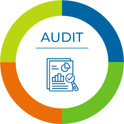Audit chart