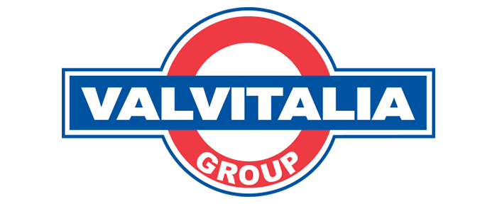 logo Gruppo Valvitalia